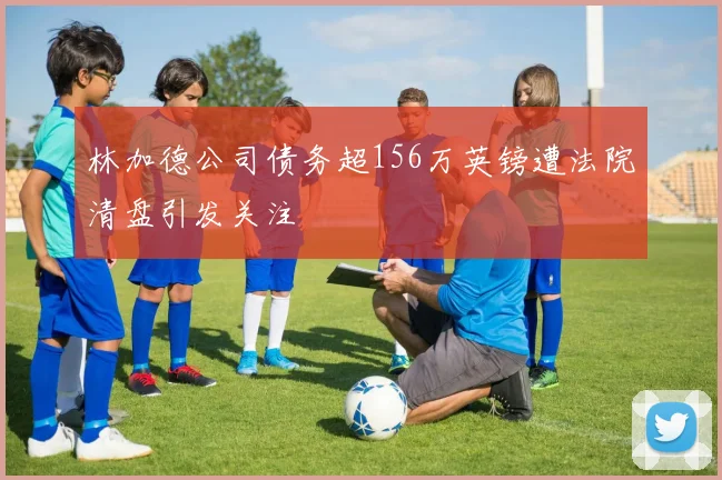 林加德公司债务超156万英镑遭法院清盘引发关注